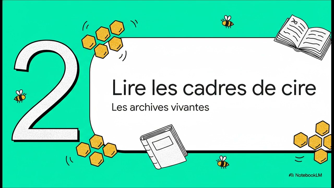 Comment Lire une Ruche.