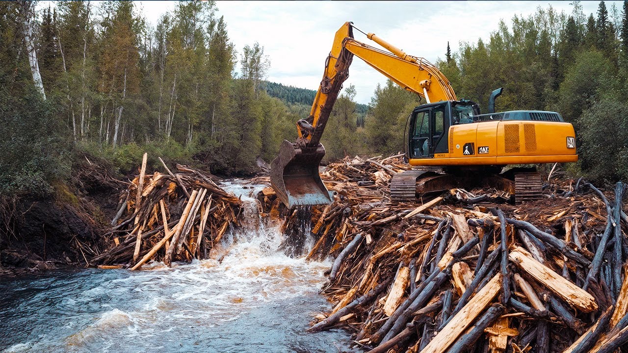 ЛУЧШЕЕ УДАЛЕНИЕ БОБРОВОЙ ПЛОТИНЫ В ИСТОРИИ!Лучшая подборка 2025 года #2