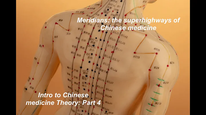 Meridians: the superhighways of Chinese medicine - DayDayNews