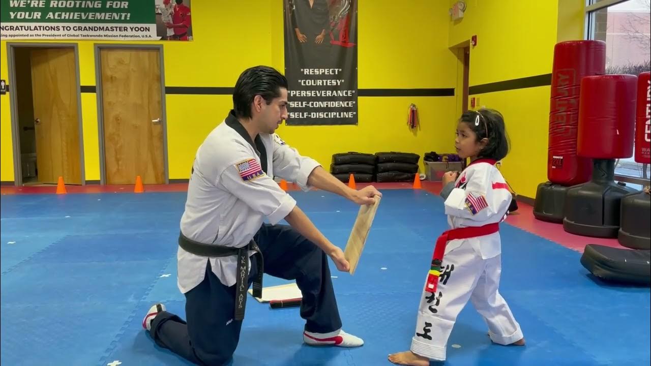 Saanvi's Red Belt Taekwondo Test at YK Martial Arts , Naperville , USA . YouTube