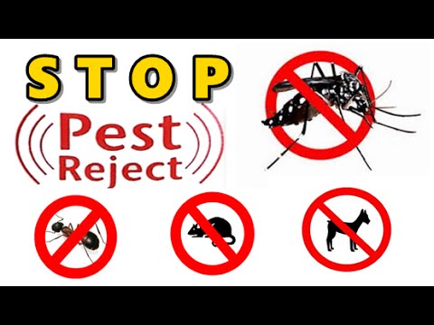 Video: Ovatko Sisäkissat Turvallisia Loisilta - Hyttysiä, Kirppuja Ja Muita Tuholaisia vastaan