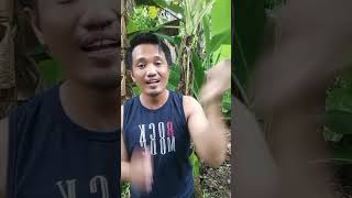 Aku bisa susap😁😁😁