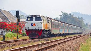 KERETA API PANJANG‼️ MENEMUKAN 29 KERETA API DI TIKUNGAN DAN PERLINTASAN KERETA API PANJANG‼️ MENEMUKAN 29 KERETA API DI TIKUNGAN DAN PERLINTASAN