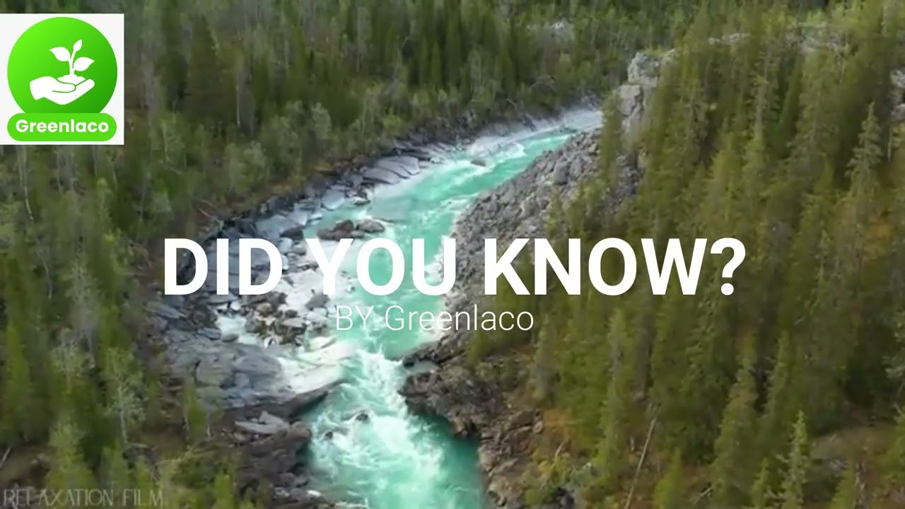 nature conservation matters most