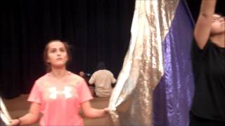 Color Guard Mannequin Challenge