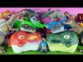 Satisfying ASMR Unboxing Jurassic World Dinosaur T-rex Spinosaurus Triceratops Megalodon Zuru Eggs