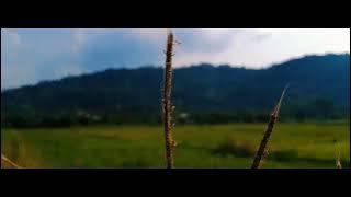 cinematic video story'wa pemandangan alam