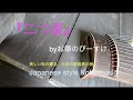 箏『二つ星』〜美しい和の響き、日本の原風景の音〜Japanese traditional Koto music
