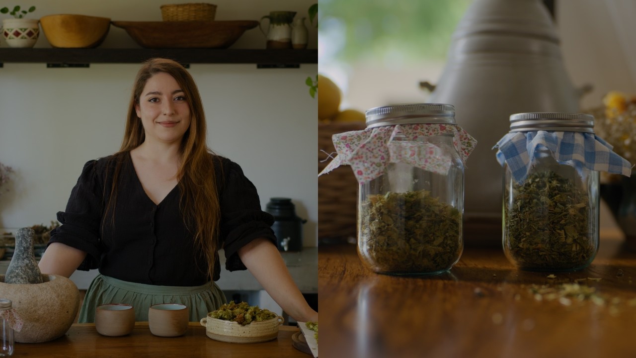 ¿El lúpulo sirve para dormir? Cosecha, compuestos y cómo prepararlo