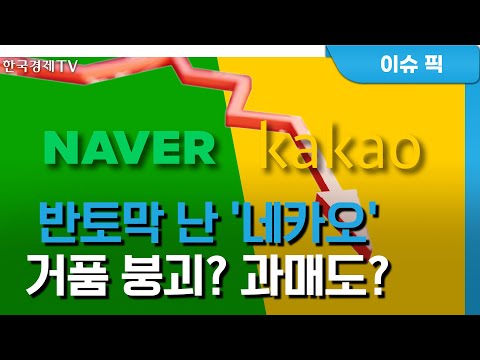주가 부양 의지 어디로 개미 저버린 네카오 / <strong>임동진</strong> 기자 / 이슈추적 / 성공투자 오후증시 / 한국경제TV
