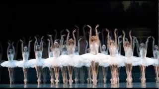 Video thumbnail of "Tchaikovsky - Lago dos Cisnes  (Cisne Negro)"