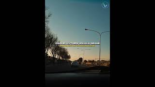 Zee Nxumalo  Ngisakuthanda Ft Tbo Dj Tearz Dr Thulz U0026 Pyy Log s And English Translation