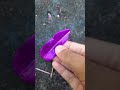 Purple land #leaves