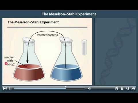 فيديو: لماذا يستخدم كلوريد السيزيوم في الطرد المركزي للحمض النووي؟