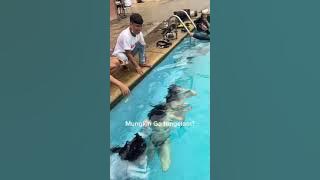 berenang bareng tik tok/ fael/ cupita
