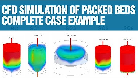 CFD simulation of packed bed columns - full case study