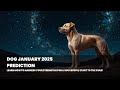Dog in January 2025: Stay Loyal to Success!