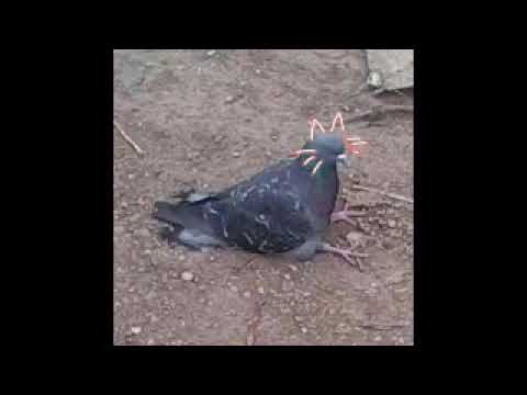 Revolution 9(Reversed my favorite part)