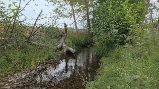 160 Acres in the Bitterroot Valley, Montana!