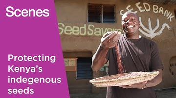Watch: The Kenyan network saving seeds for future generations | Scenes