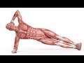 How to lose belly fat overnight exercise  exercise and superfoods