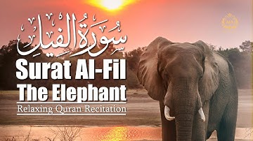 Surat Al-Fil (The Elephant) | Musab Saad | مصعب سعد | سورة الفيل