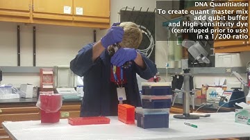 DNA Quantitation with Fluorometer