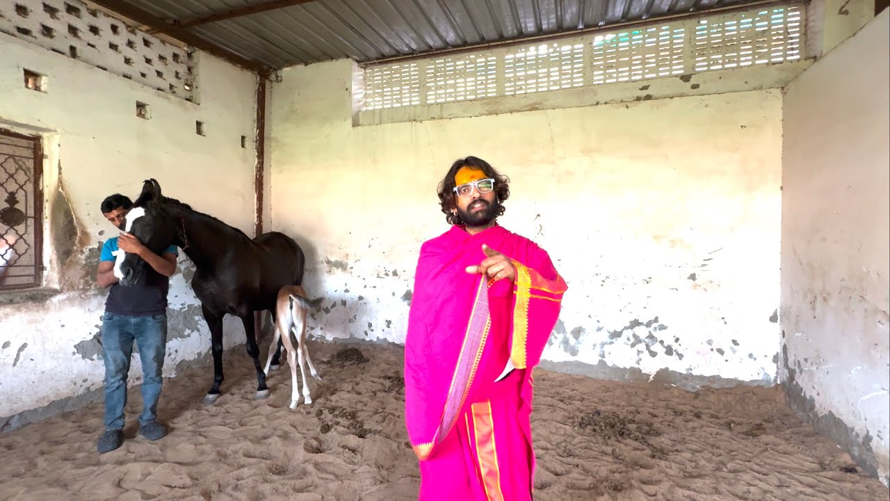 मारवाड़ी घोड़े को दर्द और सूजन से बचाने के लिए अपनाएं ये तरीके | #horse #horsehealth #horsetherapy