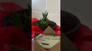 Bir Sonbahar Mevsimi Daha Bitti Ve Böyle Unutulmaz Anılar Bıraktı