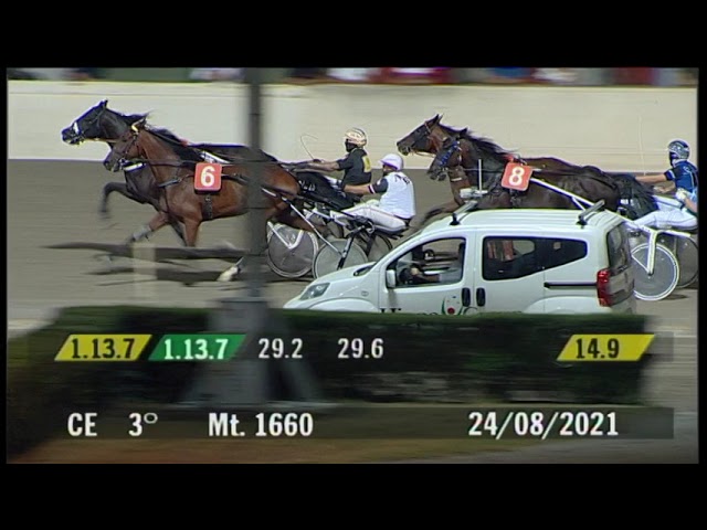 2021 08 24 | Corsa 3 | Metri 1660 | Premio Aeroporto Di Forli' - Lumiwings - Trofeo C.R.I.