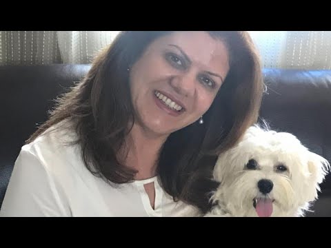 هل تحزن الكلاب اذا مات صاحبها شاهد كلب الشهيدة شيرين أبو عاقلة قبل وبعد