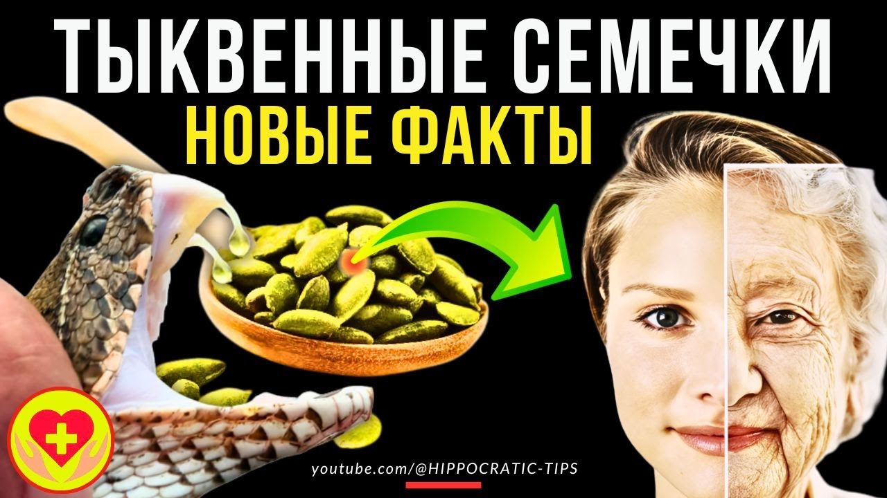 Тыквенные Семечки Семена Тыквы Польза и Вред Секреты и Факты - YouTube