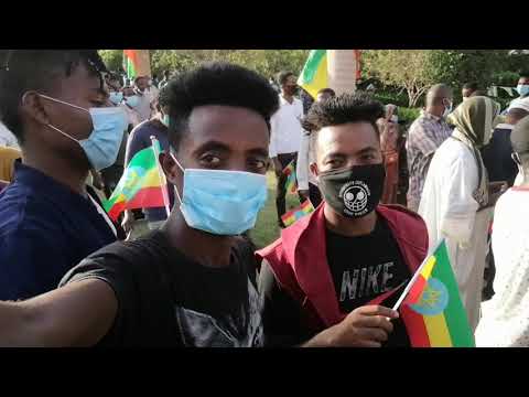 ቪዲዮ: በኒውዮርክ ግዛት 14ቱ የእግር ጉዞዎች ምርጥ ቦታዎች