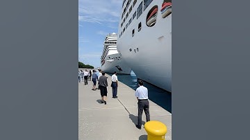 "Cruise Ship Collision at Dock! Unbelievable Impact & Crowd Reaction #ShipCollision #PortIncident"