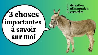 Les ÂNES, ces animaux si mal connus : 3 choses importantes à savoir sur eux