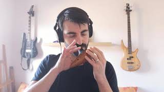 Download lagu Spirited Away ocarina cover - itsumo nando demo