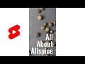 All About Allspice #Shorts