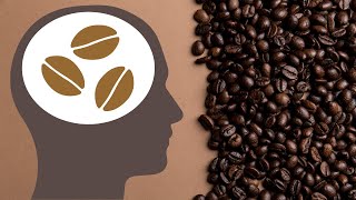 Why You Can't Quit Coffee Even if You Wanted To by Tassos Koidis 976 views 2 years ago 8 minutes, 3 seconds