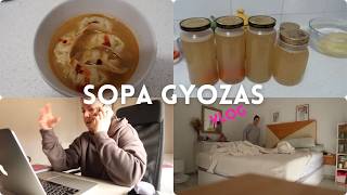 RECETA DE SOPA DE GYOZAS · NOS VOLVEMOS A QUEDAR SIN LUZ · UN DOLOR DESAGRADABLE · VLOG 635