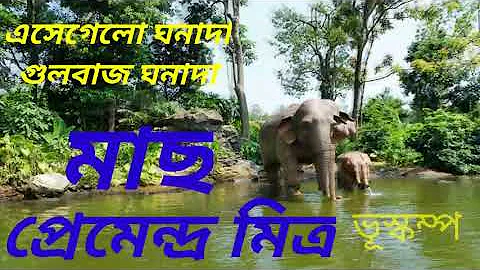 মাছ // MAACH // PRAMENDRA MITRA // GHANADA SPECIAL // AUDIO STORY.