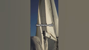 Embracing Uncertainty: Finding Peace in Chaos