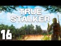 S.T.A.L.K.E.R. True Stalker #16. Старая Гвардия