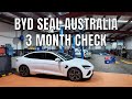 First byd seal service at 3 months in sydney australia premium variant