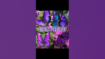 our....😉🤌💜❤️#demonslayer #edit #hashira #song #anime #shorts #like #comment #subscribe