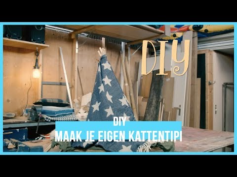 Video: DIY Waterioniseerder: Hoe Maak U Self 'n Koperioniseerder Uit Die Beskikbare Dele Van Die Huis? Diagram Van 'n Tuisgemaakte Ionisator