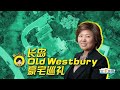 东游记——长岛Old Westbury豪宅巡礼