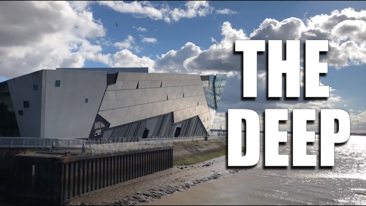 The Deep Hull I Best Aquarium Ever YouTube