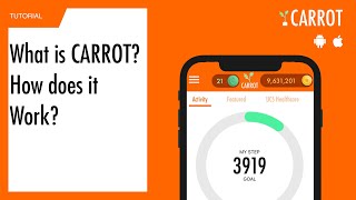 What is CARROT and how does it Work? screenshot 4