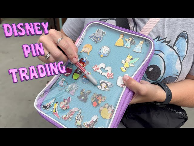 Finding BonggaMom: Inexpensive ways to store Disney trading pins
