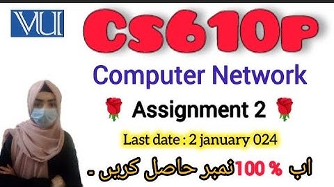 Cs610p Assignment 2 Solution Fall 2024||#cs610 #assignment  #2024 #2